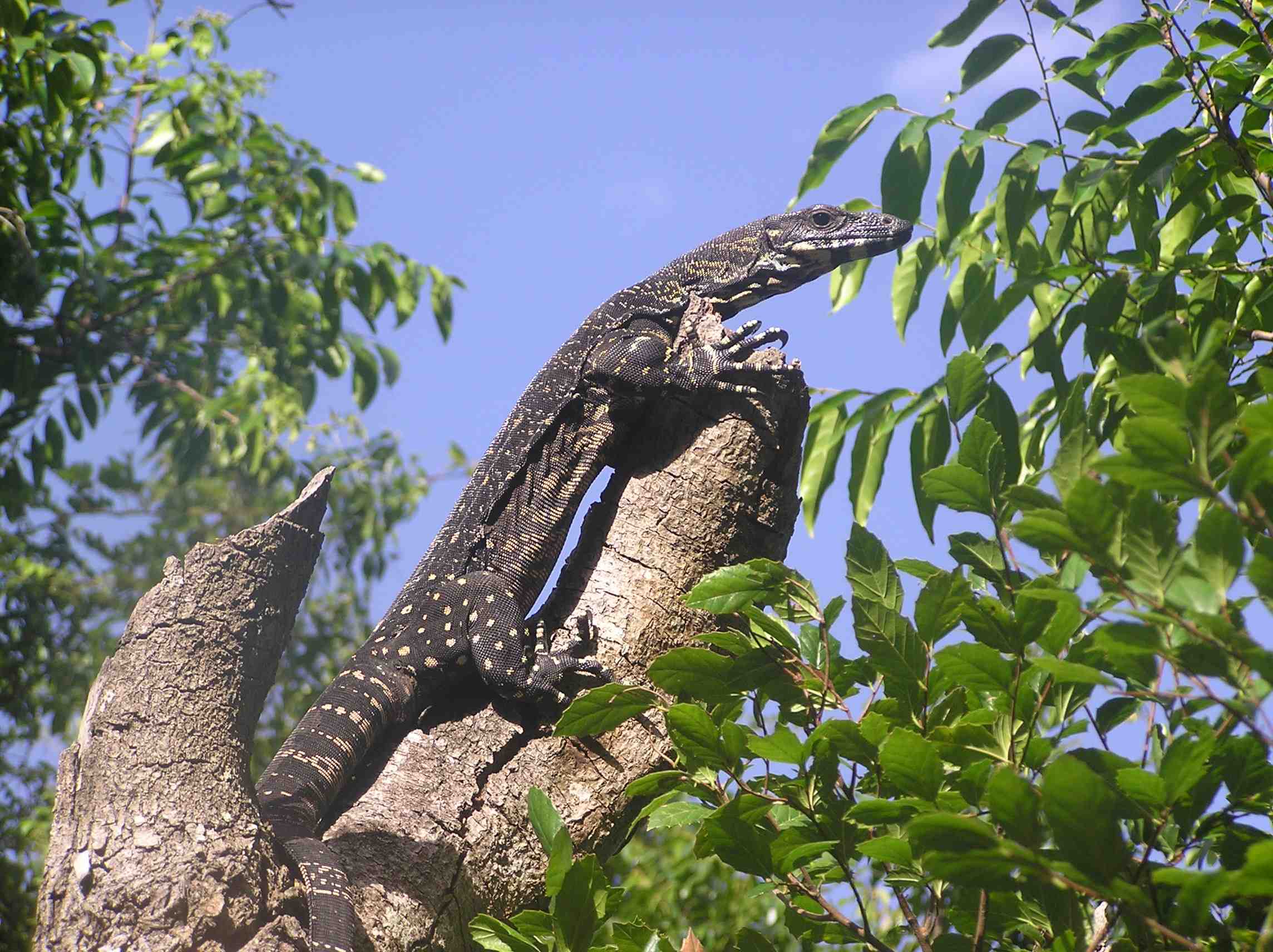 Byron Eco Park 5