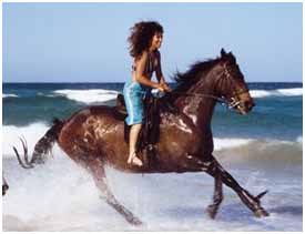 horse1
