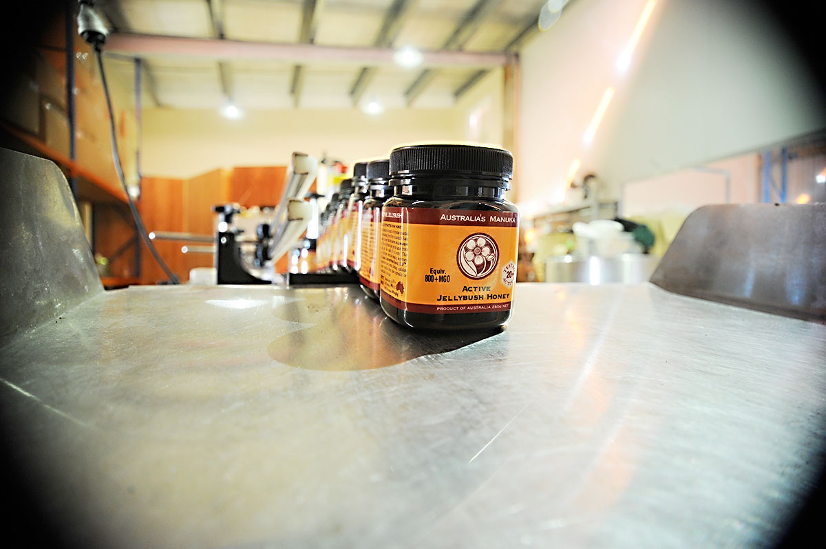Tyagarah Apiaries 003