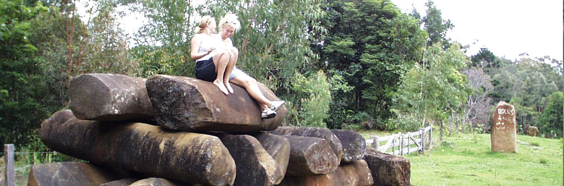 Byron Eco Park